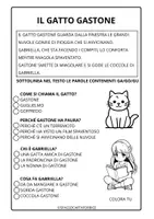anteprima - Esercizi - CONSONANTE G DURA BREVE TESTO + COMPRENSIONE - Pagina di copertina