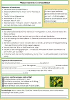 Vorschau - Arbeitsblätter - Entdecke das Scharbockskraut – Der erste gelbe Frühlingsgruß im Wald - Seite 1