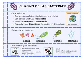 Vista previa - Unidades / Secuencias / Situaciones de Aprendizaje - Los diferentes reinos: Prótistas, Hongos y Bacterias - página 1