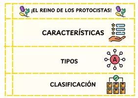 Vista previa - Unidades / Secuencias / Situaciones de Aprendizaje - Los diferentes reinos: Prótistas, Hongos y Bacterias - página 2