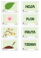 Vista previa - Tarjetas / Manipulativos - JUEGO MEMORY - material colaborativo - página 2