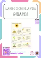 Vista previa - Tarjetas / Manipulativos - LLavero ciclo del girasol - material colaborativo - Portada
