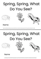 anteprima - Testo - Spring, spring, what do you see - Pagina di copertina