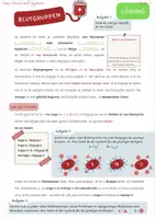 Vorschau - Arbeitsblätter - Blutgruppen (AB0-System, Rhesusfaktor) - Seite 3
