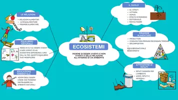 anteprima - Materiale di supporto/inclusione - Ecosistemi - Pagina di copertina