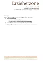 Vorschau - Lehrpläne/Lehrermaterial - Unterrichtliche Klarheit Aus Leitfaden für Lehrkräfte: Die 11 Dimensionen des Classroom-Managements nach Carolyn Evertson - Seite 2