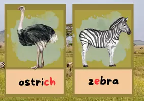 Vorschau - Poster - Wild Animals Picture and word cards - Seite 3