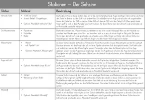 Vorschau - Arbeitsblätter - Sinne Stationsarbeit - Der Sehsinn - Seite 3