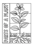 Vista previa - Hojas de trabajo - Lapbook Parts of the Plant - Collaborative material - página 1