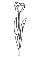 Vorschau - Mal- und Bastelvorlagen - Ausmalbilder / Malvorlagen Frühblüher Frühling - Seite 2