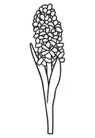 Vorschau - Mal- und Bastelvorlagen - Ausmalbilder / Malvorlagen Frühblüher Frühling - Seite 3