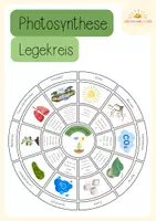 Vorschau - Stationenlernen - Photosynthese Legekreis - Deckblatt