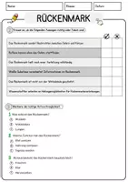 Vorschau - Arbeitsblätter - Rueckenmark Biologie Arbeitsblätter mit Lösungen Lesetext - Seite 2