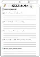 Vorschau - Arbeitsblätter - Rueckenmark Biologie Arbeitsblätter mit Lösungen Lesetext - Seite 3