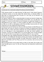 Vorschau - Arbeitsblätter - Schweissdruesen Biologie Arbeitsblätter mit Lösungen Lesetext - Seite 1