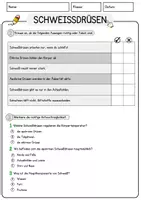 Vorschau - Arbeitsblätter - Schweissdruesen Biologie Arbeitsblätter mit Lösungen Lesetext - Seite 2