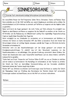 Vorschau - Arbeitsblätter - Sinnesorgane Biologie Arbeitsblätter mit Lösungen Lesetext - Seite 1