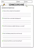 Vorschau - Arbeitsblätter - Sinnesorgane Biologie Arbeitsblätter mit Lösungen Lesetext - Seite 3