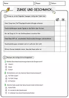 Vorschau - Arbeitsblätter - Zunge und Geschmack Biologie Arbeitsblätter mit Lösungen Lesetext - Seite 2