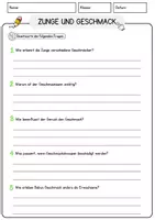 Vorschau - Arbeitsblätter - Zunge und Geschmack Biologie Arbeitsblätter mit Lösungen Lesetext - Seite 3