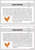 Vorschau - Text - Wissenskartei Bauernhoftiere 🐷🐔🐮 - Seite 3