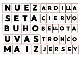Vista previa - Tarjetas / Manipulativos - VOCABULARIO Y ESCRITURA @maestrapilarcordoba - página 1