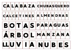 Vista previa - Tarjetas / Manipulativos - VOCABULARIO Y ESCRITURA @maestrapilarcordoba - página 2