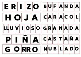 Vista previa - Tarjetas / Manipulativos - VOCABULARIO Y ESCRITURA @maestrapilarcordoba - página 3