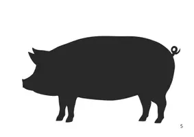 Aperçu - Affichage - Qui se cache dans la ferme - Page 3