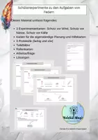 Vorschau - Arbeitsblätter - Schülerexperimente: Die Aufgaben der Federn (Protokoll + Lösungen) - Deckblatt