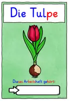 Vorschau - Unterrichtsreihen - Die Tulpe DIFFERENZIERTES MATERIALPAKET Klasse 1 bis 4 - Seite 2