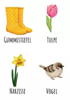 Vorschau - Bildkarten - Was gehört zum Frühling?– Morgenkreiskarten für den Kindergarten - Seite 3