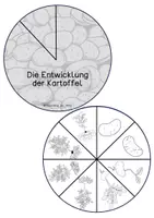 Vorschau - Mal- und Bastelvorlagen - Drehscheibe - Kartoffel - Seite 3