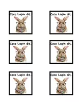 Aperçu - Apprentissages en autonomie - Coco Lapin dit - Page 2