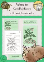 Vorschau - Arbeitsblätter - Kartoffel Aufbau Kartoffelpflanze Unterrichtseinheit - Deckblatt
