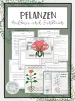 Vorschau - Unterrichtsreihen - Aufbau und Funktion der Blütenpflanze - Deckblatt
