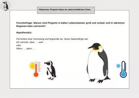 Vorschau - Arbeitsblätter - Schülerexperiment: Pinguine und die Bergmannsche Regel - Seite 2