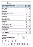 Vorschau - Arbeitsblätter - Haustiere Lesespaziergang - Seite 3