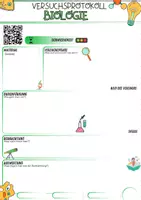 Vorschau - Arbeitsblätter - Versuchsprotokoll Biologie Vorlage - Seite 1