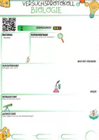 Vorschau - Arbeitsblätter - Versuchsprotokoll Biologie Vorlage - Seite 3
