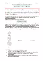 Vorschau - Arbeitsblätter - Born-Haber-Kreisprozess - Seite 2