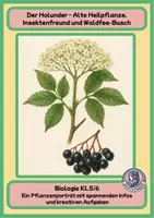 Vorschau - Arbeitsblätter - Der Holunder – Alte Heilpflanze, Insektenfreund und Waldfee-Busch - Deckblatt
