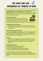 Vorschau - Arbeitsblätter - Wie kommunizieren Pflanzen? - Wood Wide Web und VOCs - Seite 3