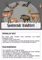 Vorschau - Arbeitsblätter - Waldtiere im Sachunterricht - Seite 2