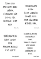 Vorschau - Bildkarten - Rätselkarten-Paket "Obst und Gemüse" & "Tiere" - Seite 3