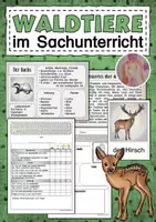 Vorschau - Arbeitsblätter - Waldtiere im Sachunterricht - Deckblatt