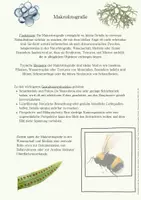 Vorschau - Stationenlernen - Fotografie Stationenlernen Stationenarbeit Genres 60 Min - Seite 3