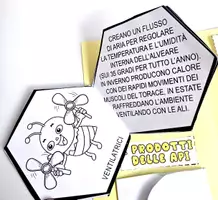 anteprima - Esercizi - 🌼🐝 Alla Scoperta delle Api - Lapbook - Pagina 2