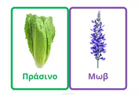 Προεπισκόπηση - Flashcards - Μοντεσσοριανές εκπαιδευτικές κάρτες με 16 χρώματα - Σελίδα 3