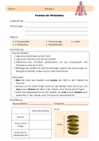 Vorschau - Arbeitsblätter - Funktion Wirbelsäule - Deckblatt